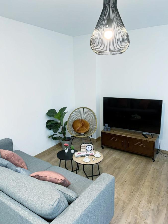 Le Convivial, Appartement Centre Ville Mulhouse Buitenkant foto
